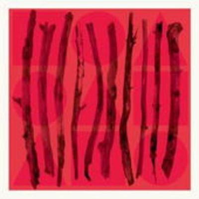 Illuminated Manuscript - Cale Parks, CD