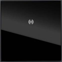 GIRA 5594910 Blindmodul Anthrazit