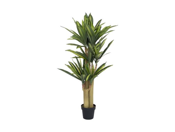 Lebensechte Kunstpflanze „Dracena“, verschiedene Grössen Grün Baq Design