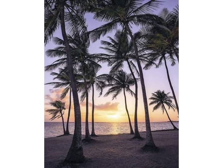 Komar digitale print vliesbehang PALMTREES ON BEACH, 200 x 250 cm (breedte x hoogte), behang, fotobehang, landschap, natuuropname, slaapkamer, woonkamer, hal