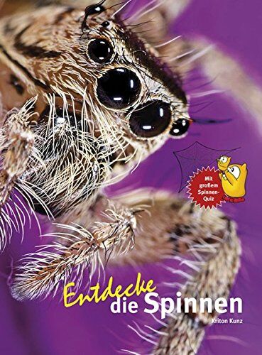 Kriton Kunz - Entdecke die Spinnen (Entdecke - Die Reihe mit der Eule) - Preis vom 01.10.2026 17:08:56 h