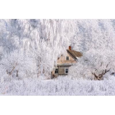 Fototapete PAPERMOON "Haus in Schneelandschaft", bunt, B:2,5m L:1,86m, Vlies, Tapeten