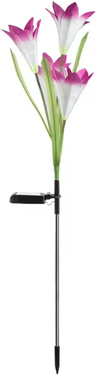 Inspire Curations Solar Lily Flower Garden Light IP65 Waterproof LED Landscape Decor 4head Purple rgb