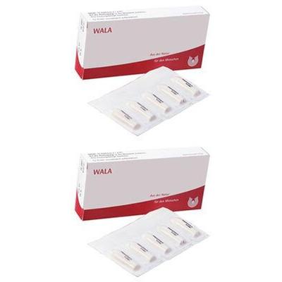 Echinacea/Mercurius comp.Kindersuppositorien 2x 2x10x1 g Kinder-Suppositorien