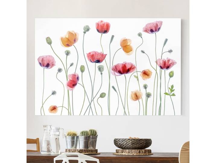 Impression sur toile Coquelicots Polyester Blanc 180 x 120cm