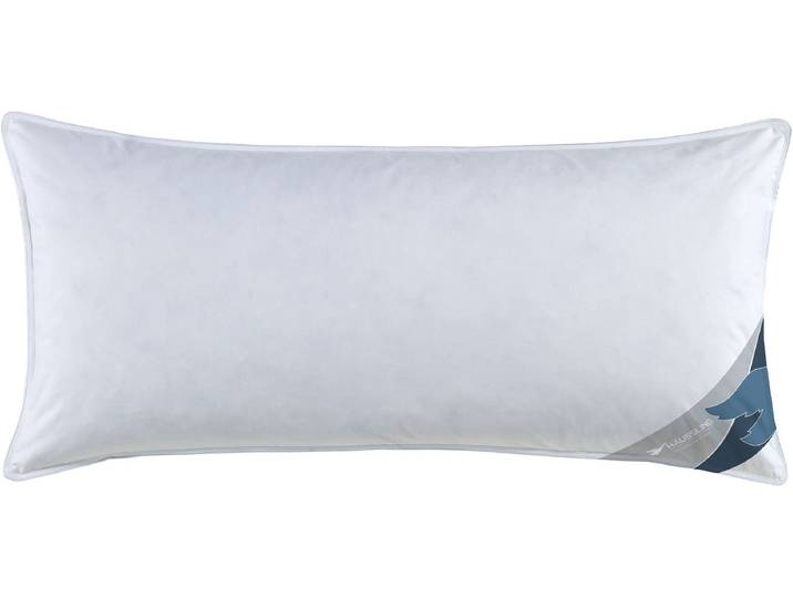 Federkissen HAEUSSLING GRÖNLAND Made in Green , weiss (weiß), B:40cm L:80cm, Bezug: 100% Baumwolle. Füllung: 85% Federn, 15% Daunen, Kopfkissen, Federkissen, hochwertiges Daunenprodukt Made in Green zertifiziert