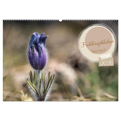 Frühlingsblüher - Farbenpracht nach dem Winter (Wandkalender 2026 DIN A2 quer), CALVENDO Monatskalender