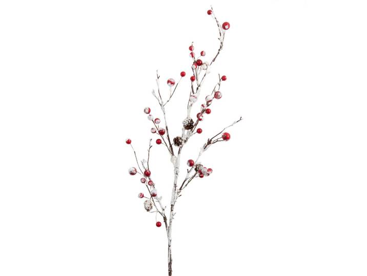 Weihnachtszweig mit verschneiten Blätter und roten Beeren