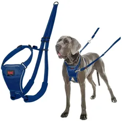 Halti No Pull Harness Cobalt Blue Large (L, Hund, Spazieren), Halsband + Leine
