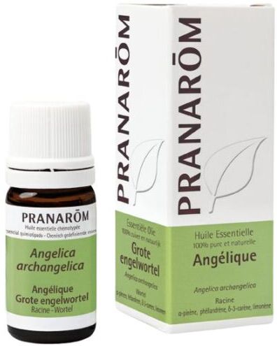 Pranarom Angelica Essential Oil 5 ml 5 ml