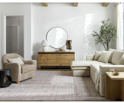 LOur PNW Home x Livabliss Spokane Updated Traditional Area Rug