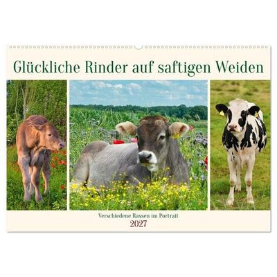 Glückliche Rinder auf saftigen Weiden (Wandkalender 2027 DIN A2 quer), CALVENDO Monatskalender