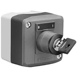 Schell Aufputz-Schlüsselschalter 015380099 230 V, IP 65, thermische Desinfektion