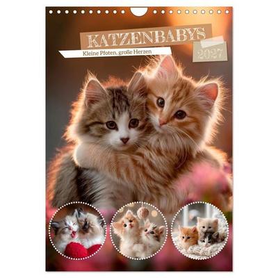 Katzenbabys - Kleine Pfoten, große Herzen (Wandkalender 2027 DIN A4 hoch), CALVENDO Monatskalender
