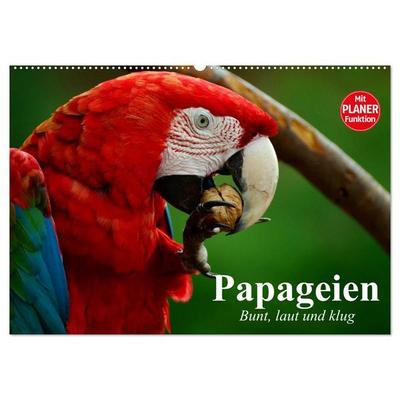 Papageien. Bunt, laut und klug (Wandkalender 2026 DIN A2 quer), CALVENDO Monatskalender