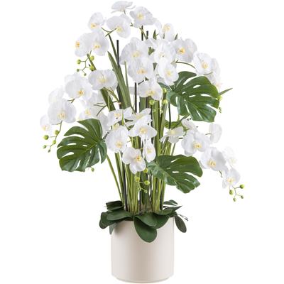 Kunstorchidee CREATIV GREEN "Orchidee Phalaenopsis", beige (creme), H:120cm, Kunststoff, Kunstpflanzen, mit Gräsern und Splitphilo-Blättern