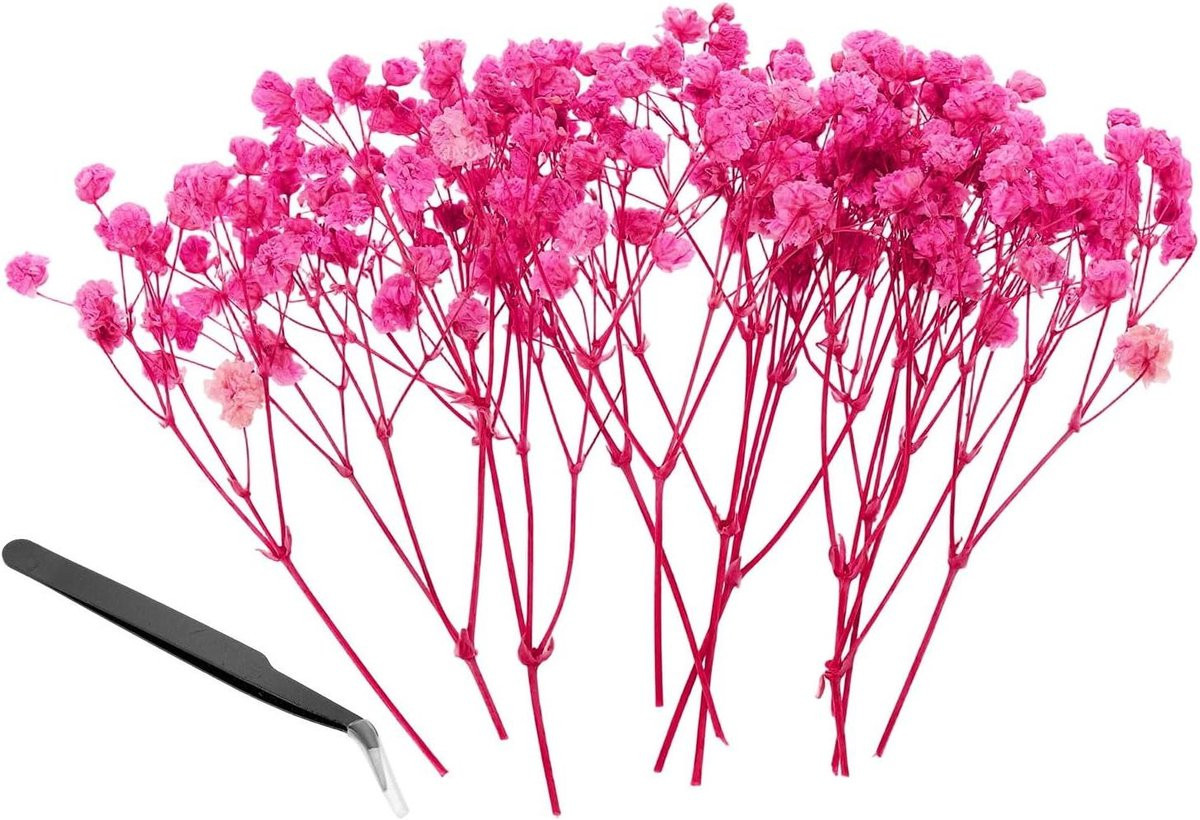 Gedroogde Gipskruid Bloemen - Roze - Natuurlijke Bloem Decoratie voor Ambachten - 10 cm