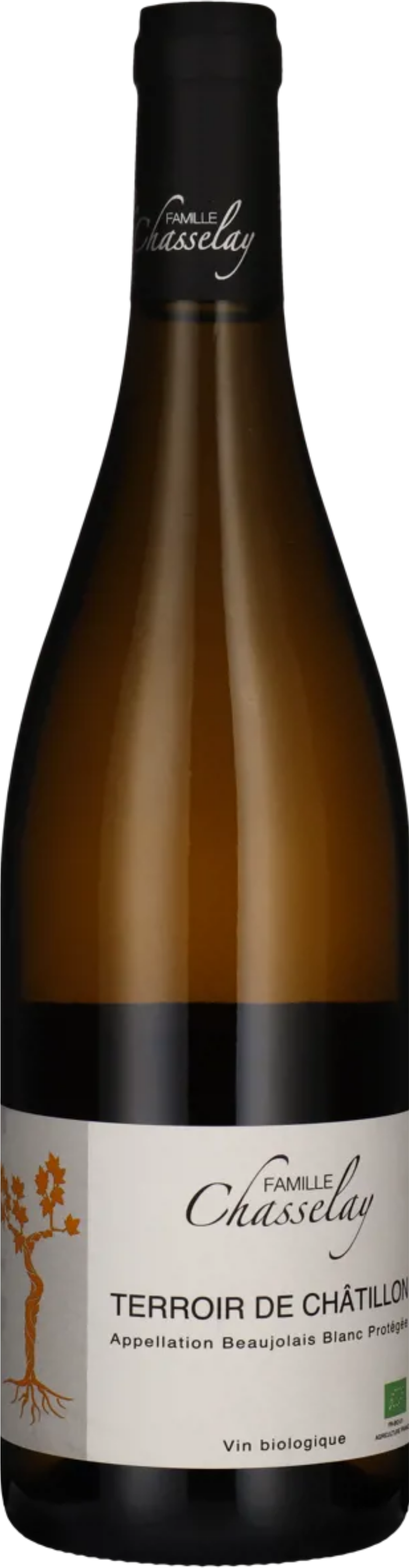 Beaujolais Blanc 'Terroir de Chatillon' Domaine Chasselay 2025