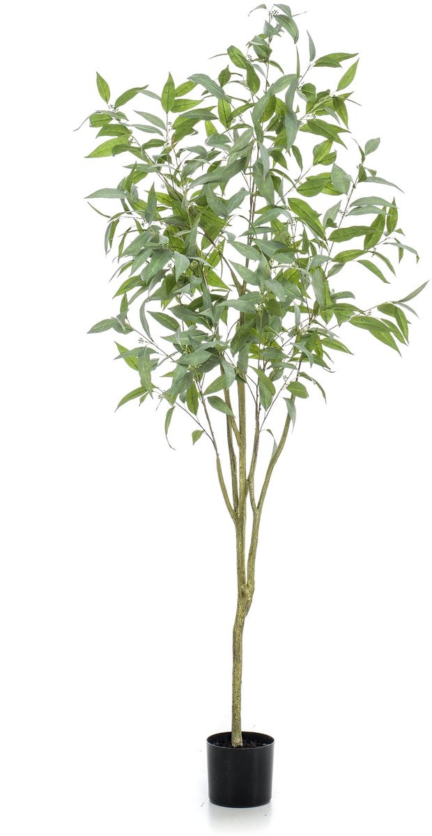Emerald Kunstboom Eucalyptus Globulus 195 cm - Kunstplant voor binnen
