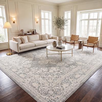 SAFAVIEH Reflection Nedelja Charming Oriental Rug