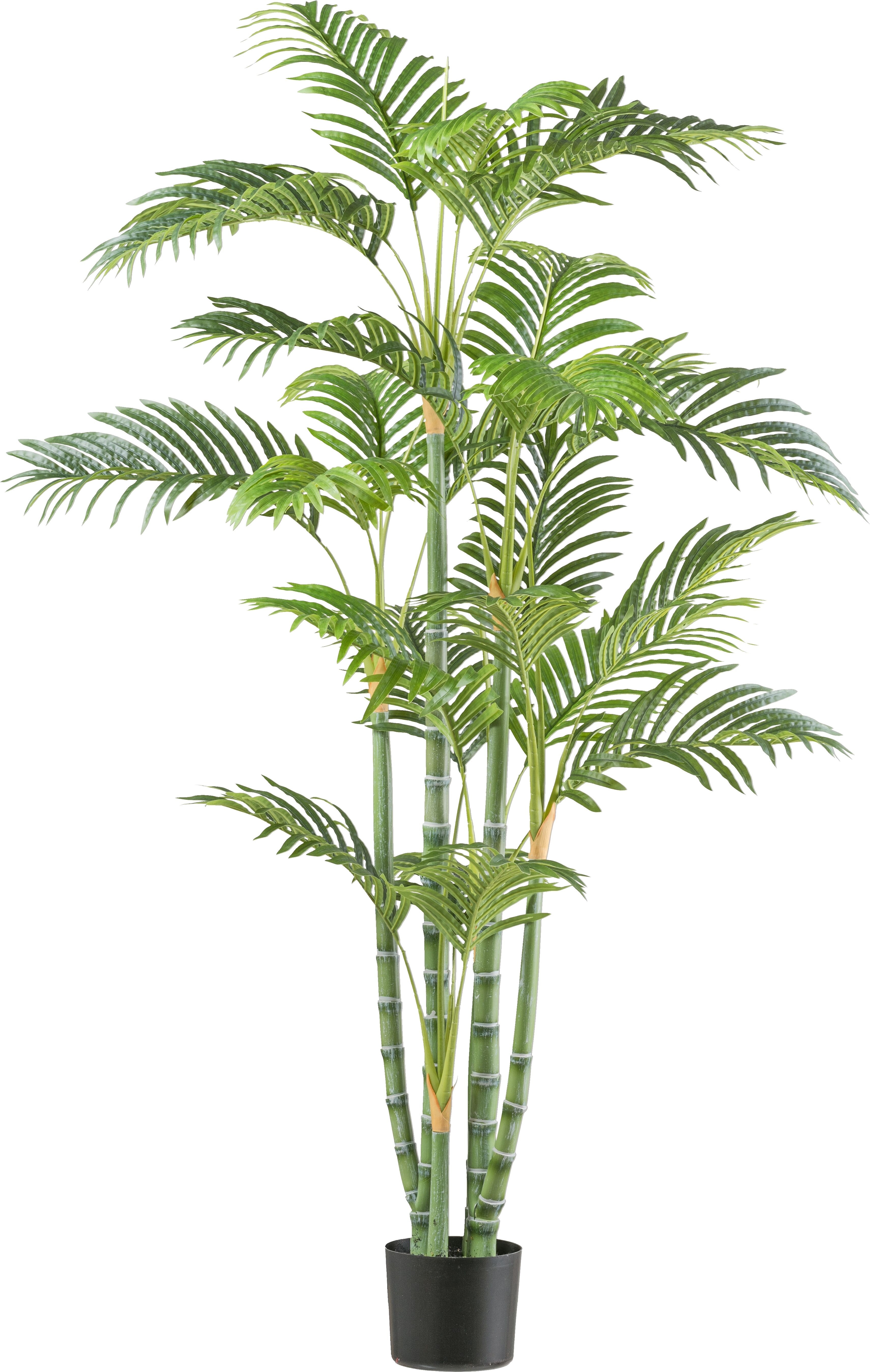 Kunstpalme CREATIV GREEN "Bambuspalme", grün, H:155cm, Kunststoff, Kunstpflanzen, Kunstpalme, mit zahlreichen Wedeln