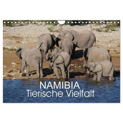 Namibia - Tierische Vielfalt (Wandkalender 2027 DIN A4 quer), CALVENDO Monatskalender