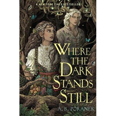 Where the Dark Stands Still, Taschenbuch von A. B. Poranek, Margaret K. McElderry Books, 978-1-66593-648-4