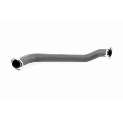 VAICO Ladeluftschlauch Q+, Erstausrüsterqualität v251025 für Ford
