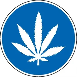 Dreifke® Gebotsschild Cannabiskonsum erlaubt, praxisbewährt, Aluminium, Ø 200mm