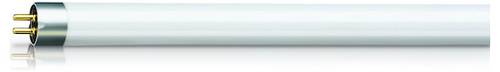Philips UV-Lampe G5 8W (Ø x L) 16mm x 302.5mm 60V 1St.