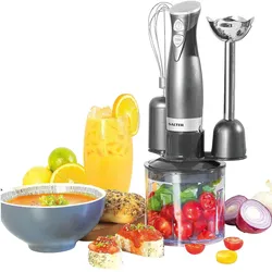 Salter EK2827COSVDEEU10 Cosmos 3-in-1 Hand Blender, Stabmixer, Silber