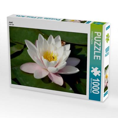CALVENDO Puzzle Juni | 1000 Teile Lege-Größe 64x48cm Foto-Puzzle für glückliche Stunden