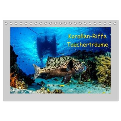 Korallen-Riffe Taucherträume (Tischkalender 2026 DIN A5 quer), CALVENDO Monatskalender