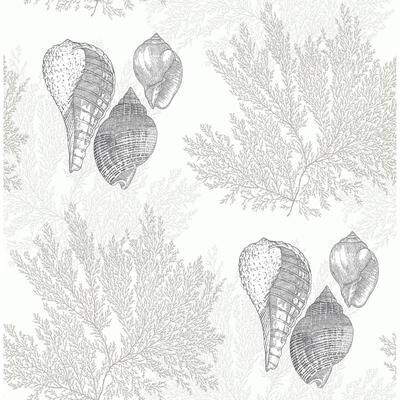A-Street Prints Nauset Cream Seashell Shores Wallpaper