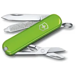 Victorinox Classic SD Taschenmesser - STK - Smashed Avocado