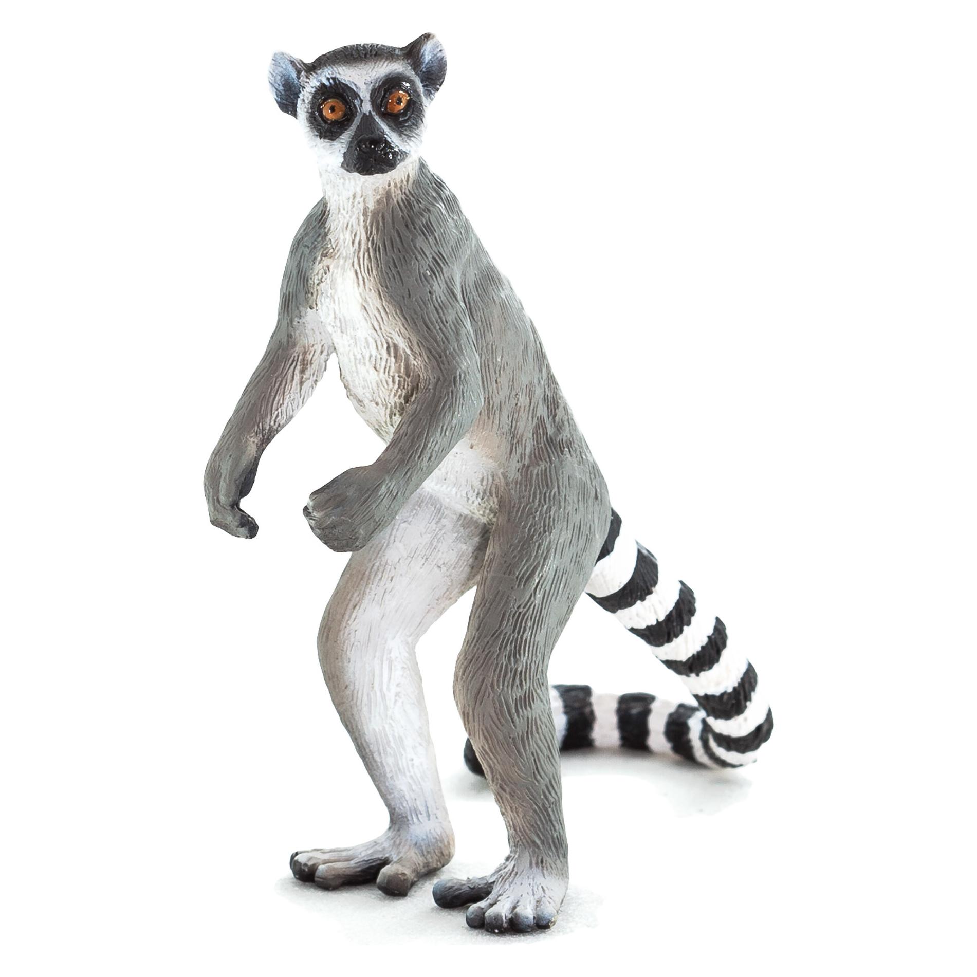 Animal Planet Katta Lemure (387177)