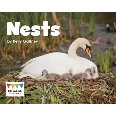 Nests, Taschenbuch von Kelly Gaffney, Capstone Global Library Ltd, 978-1-4747-5562-7