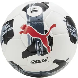 Puma, Fussbälle, (4)