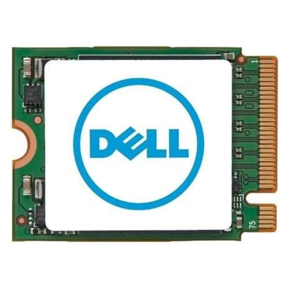 Dell SSDR,256G,P44,30S2,KIOXIA,BG5 (256 GB, M.2 2230) (GNT1W)