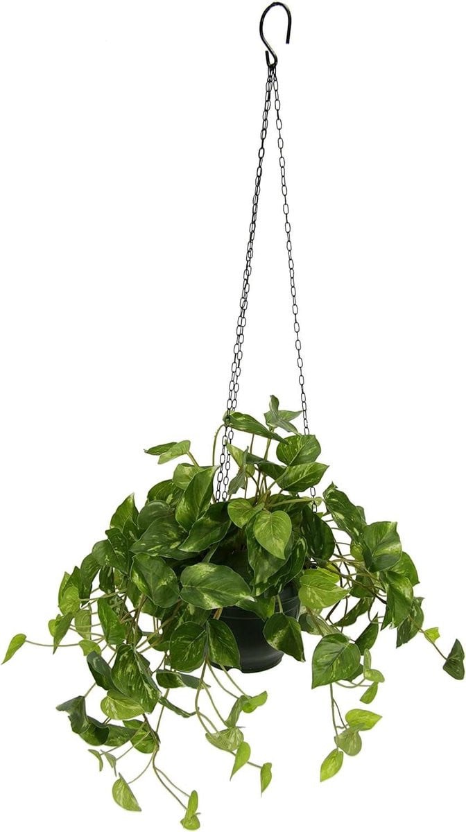Kunstplant Pothos Groen - Hangplant Decoratie - 28 x 60 cm