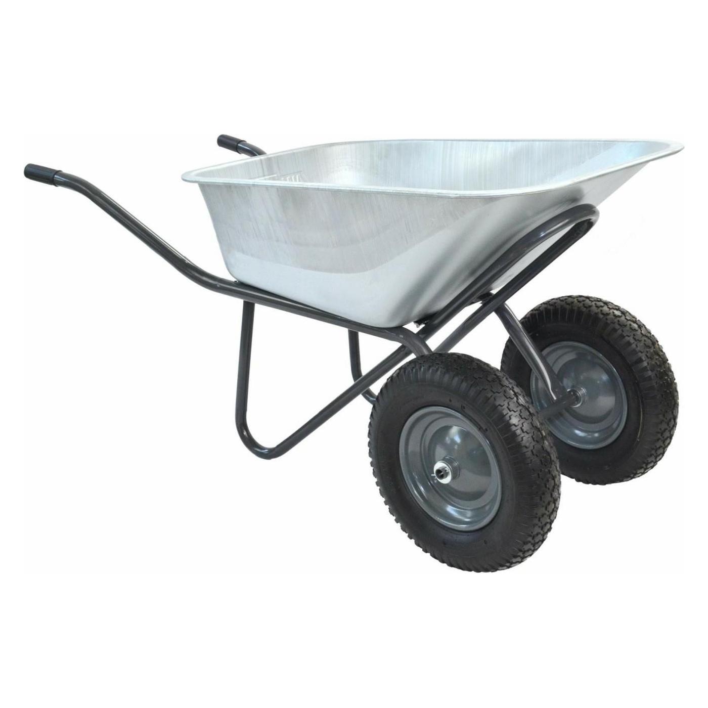 Awtools Gartenschubkarre 100L/130Kg Zwei Räder (62790006)