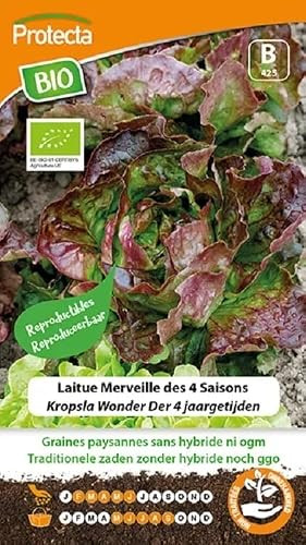 Protecta Biologische Kropsla Wonder der 4 Jaargetijden Groentezaden