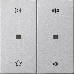 Gira Wippe 2f Audiostrg 538426