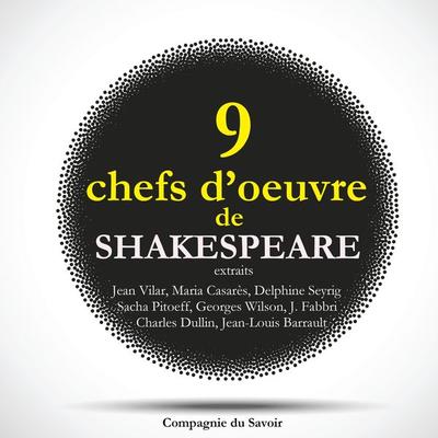 9 chefs d'oeuvre de Shakespeare au théâtre, extraits - William Shakespeare, Audio, 9782821102842