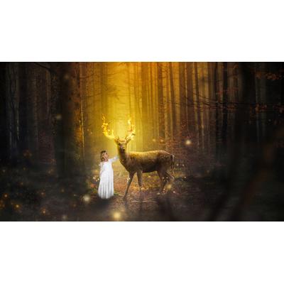 Fototapete PAPERMOON "Mädchen Hirsch Buck Liebe Hoffnung", bunt, B:2,5m L:1,86m, Vlies, Tapeten