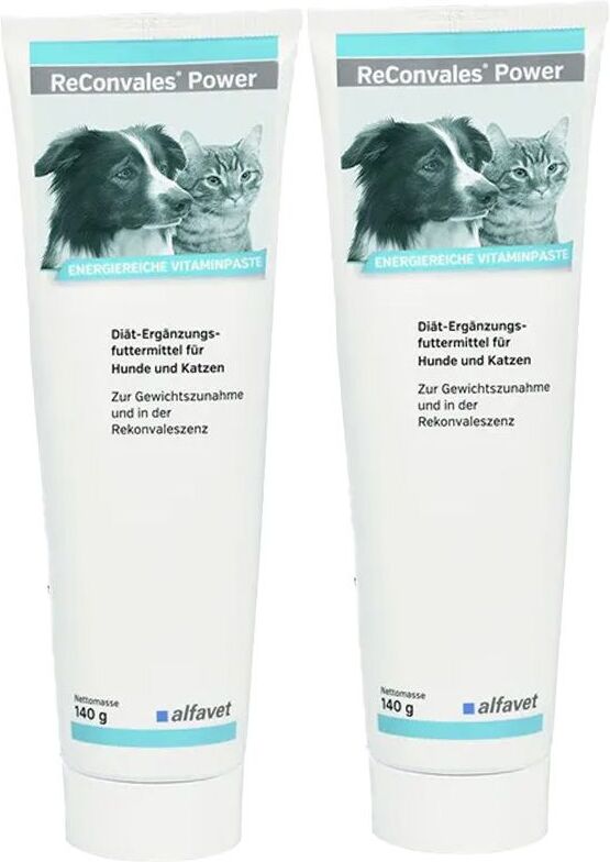 ReConvales Power Doppelpack 2x140 g Paste