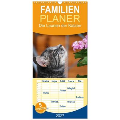 Familienplaner 2027 - Die Launen der Katzen 2027 mit 5 Spalten (Wandkalender, 21 x 45 cm) CALVENDO