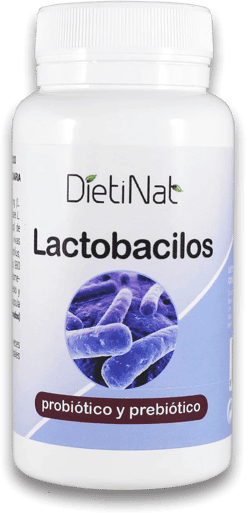 Dietinat Lactobacilos 60 Caps