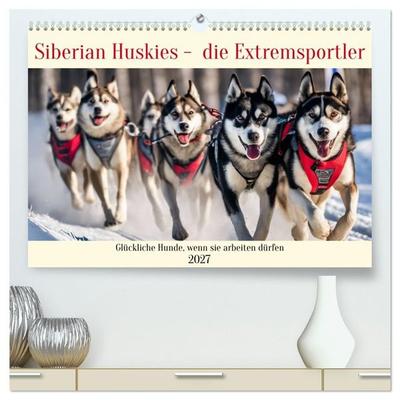 Siberian Huskies - die Extremsportler (hochwertiger Premium Wandkalender 2027 DIN A2 quer), Kunstdruck in Hochglanz