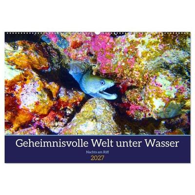Geheimnisvolle Welt unter Wasser - Nachts am Riff (Wandkalender 2027 DIN A2 quer), CALVENDO Monatskalender